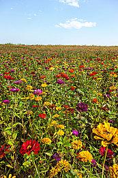 《绝地潜兵2》新债券“毒蛇突击兵”公布 首次提供皮肤配色 